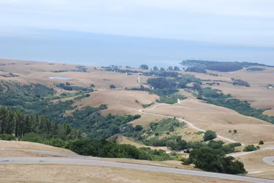 DSC_20080 (Large) (Large).JPG